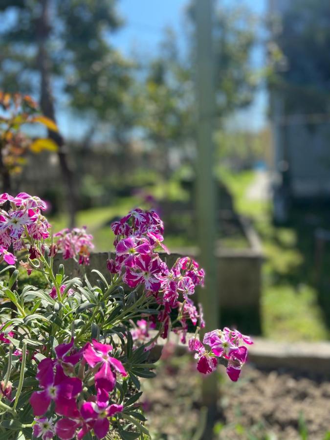 Villa Osmani Дуррес Экстерьер фото